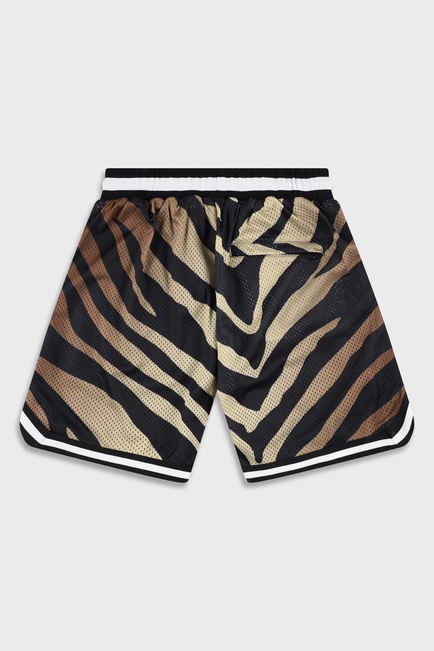 BB 815 Tiger Short Pant