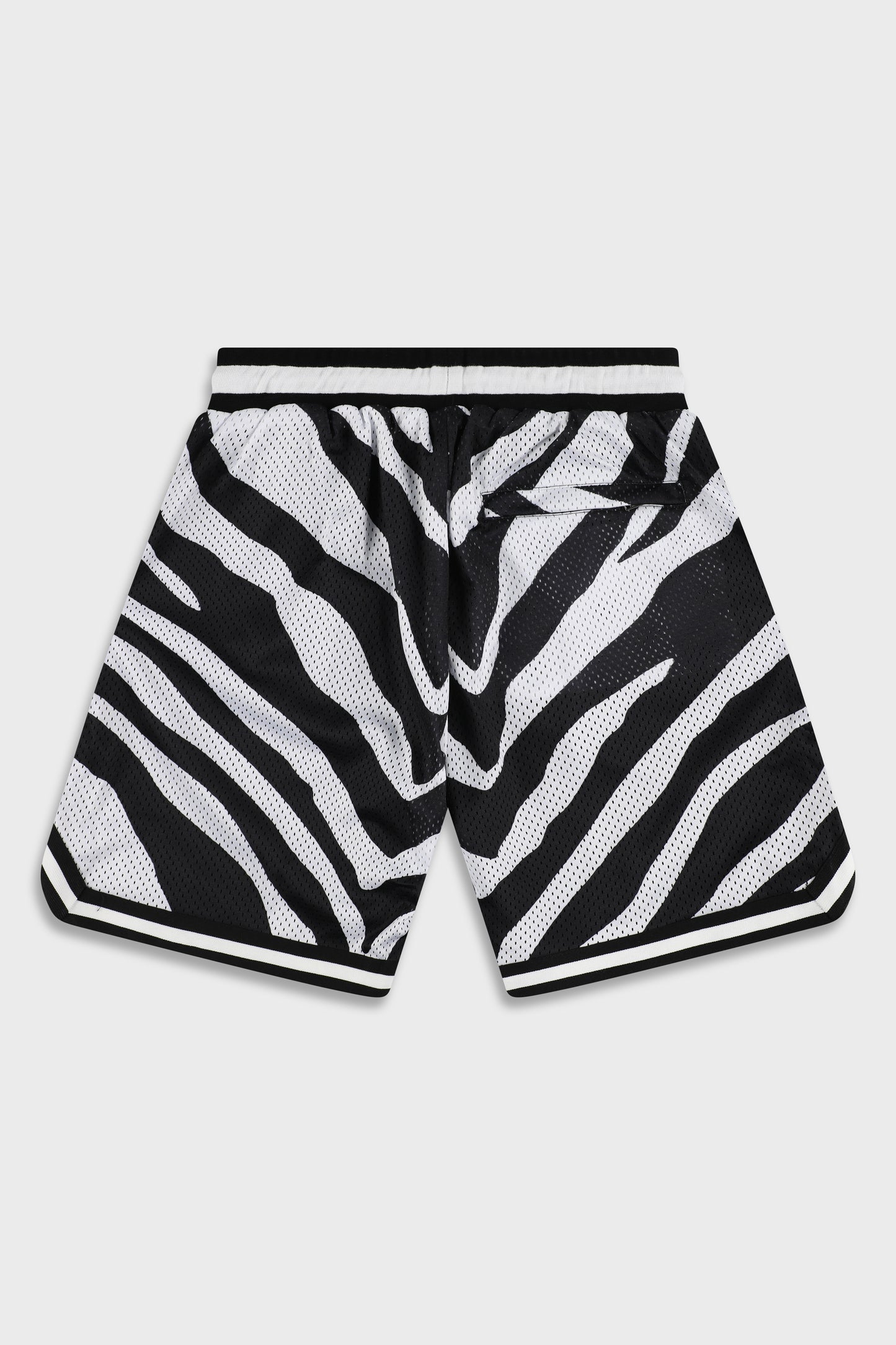 BB 815 Zebra Short Pant
