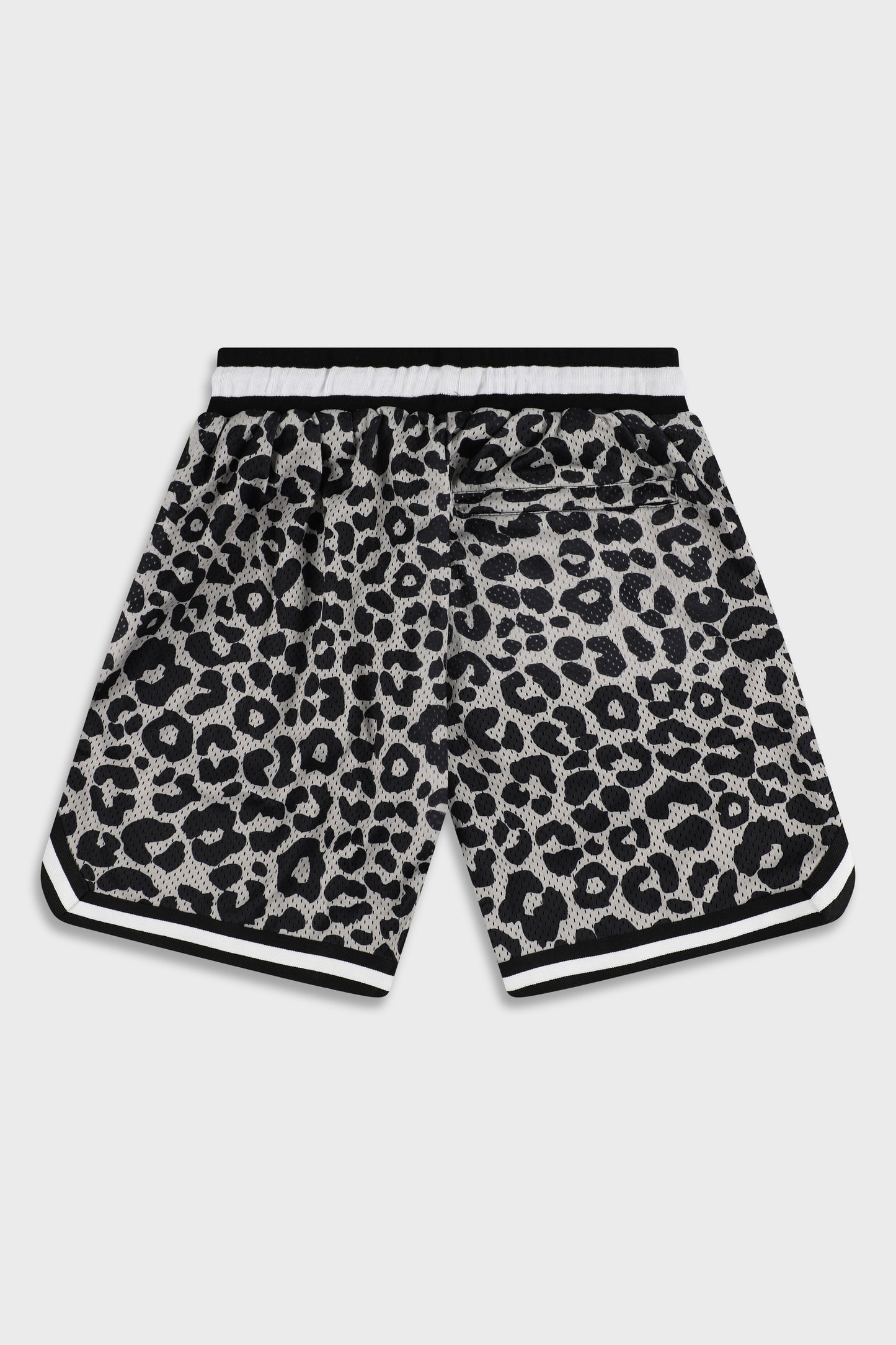 BB 815 Leopard Short Pant