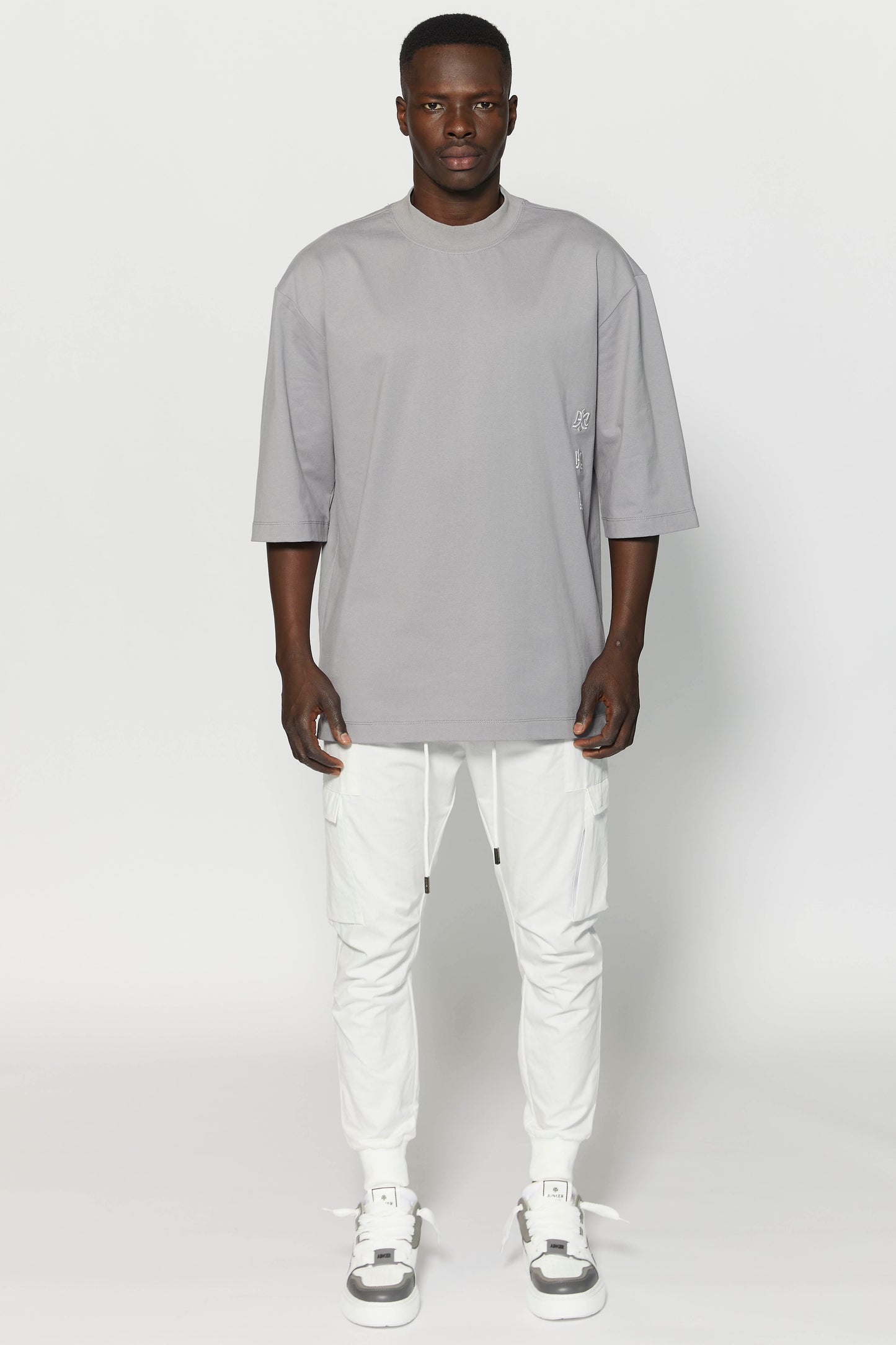 Japan Logo 216 Gray T-Shirt