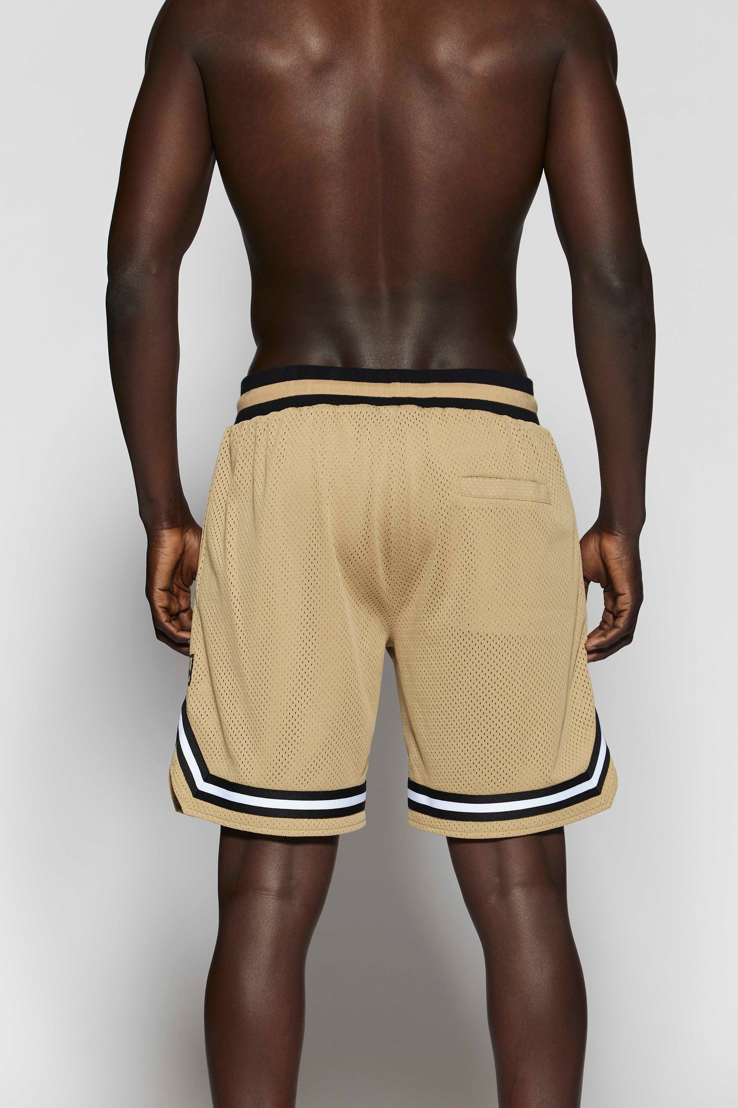 BB 262 Mocha Short Pant