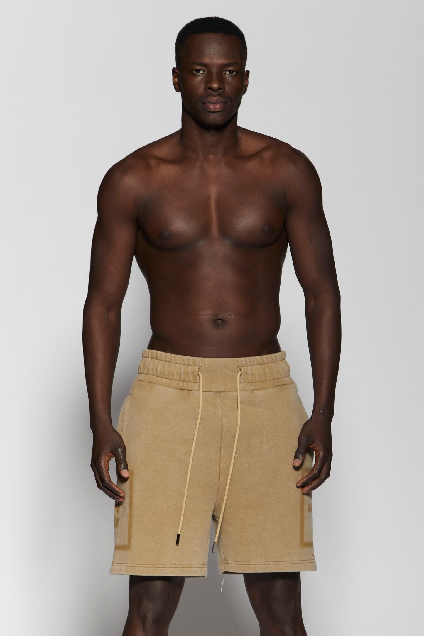 Art To Get Mocha Wash Short Pant